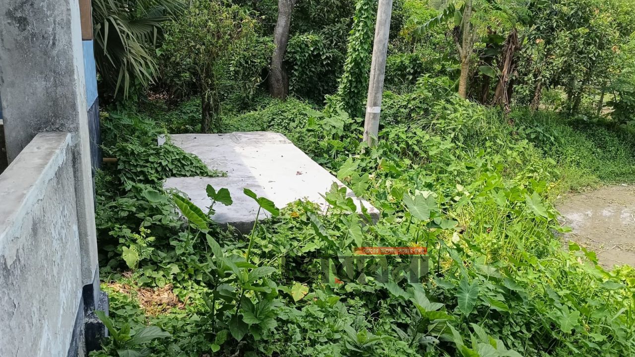 প্রলেপেই শেষ কাজ, অথচ বিল লাখ টাকার উপরে -অভিযুক্ত বিএনপি নেতা 