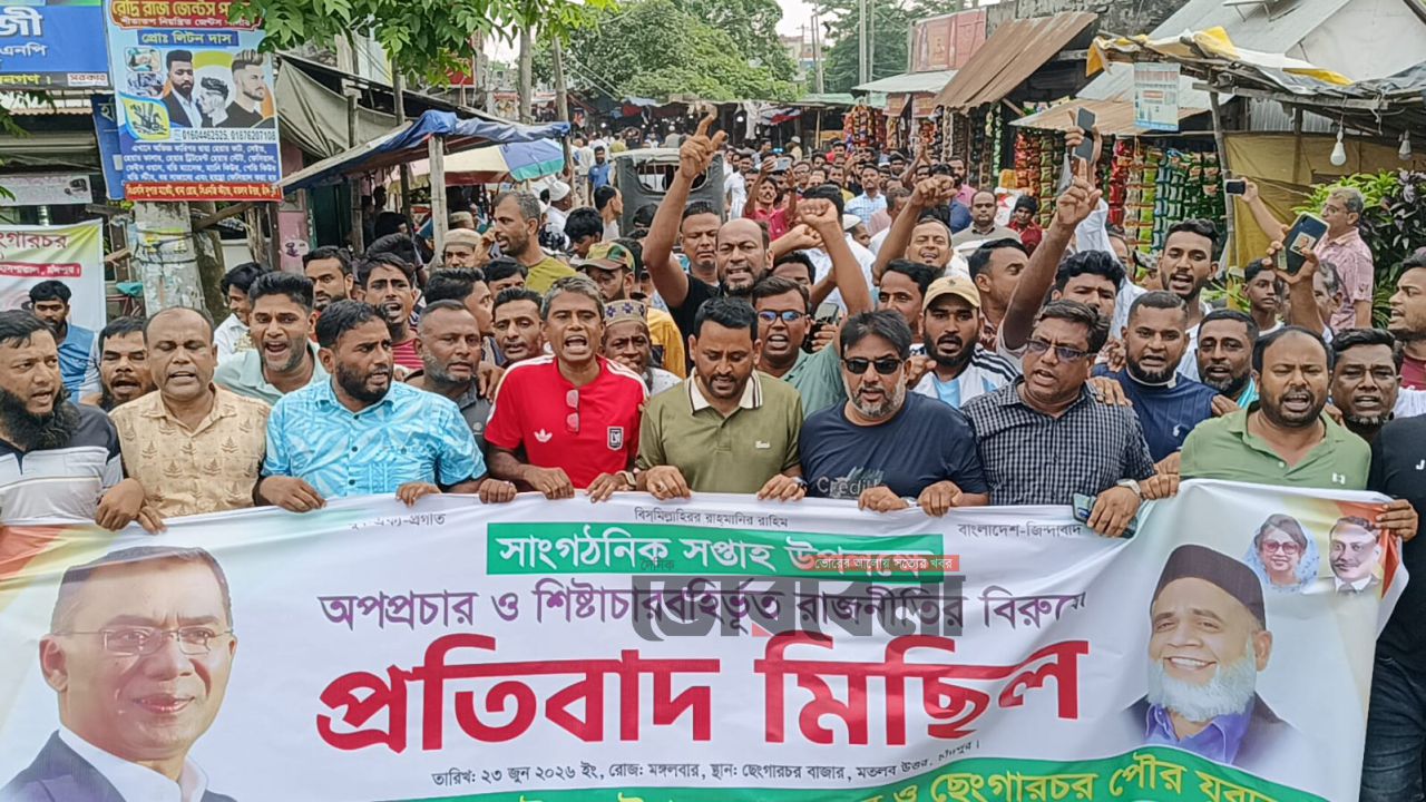 সাংগঠনিক সপ্তাহ উপলক্ষে মতলব উত্তরে যুবদলের প্রতিবাদ মিছিল