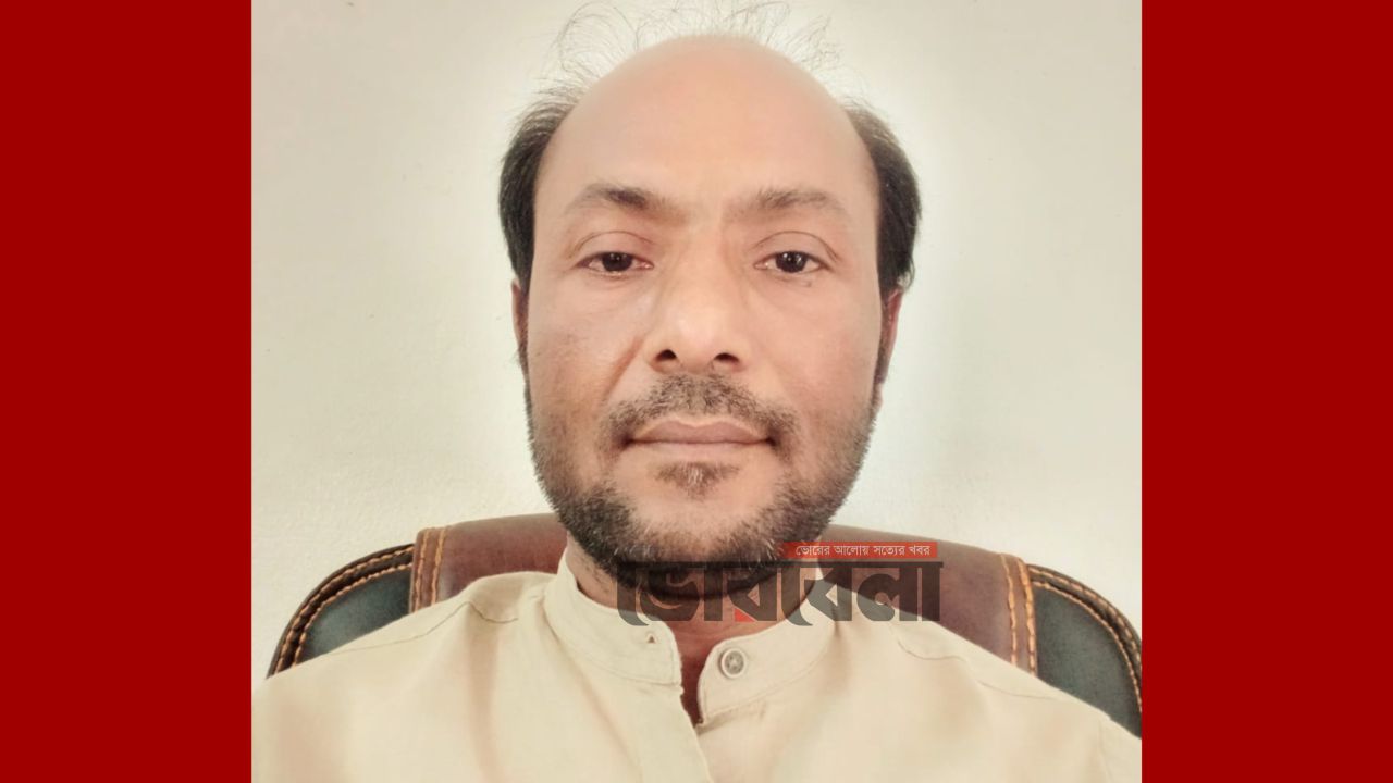 জন্মদিন ও সাংবাদিকতার ২৮ বছর: আলোর পথযাত্রী বোরহান উদ্দিন ডালিম