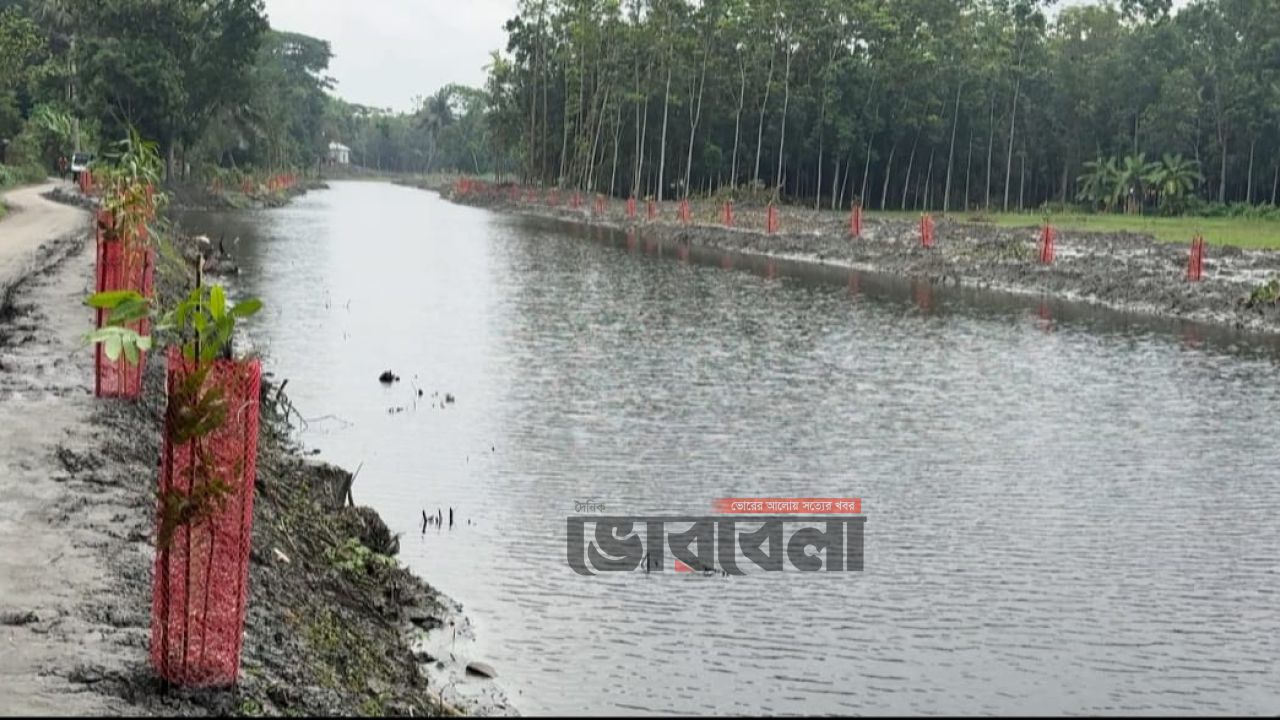 খাল পুনঃখননে সেচ সংকটের অবসান, স্বস্তিতে মতলবের কৃষকরা