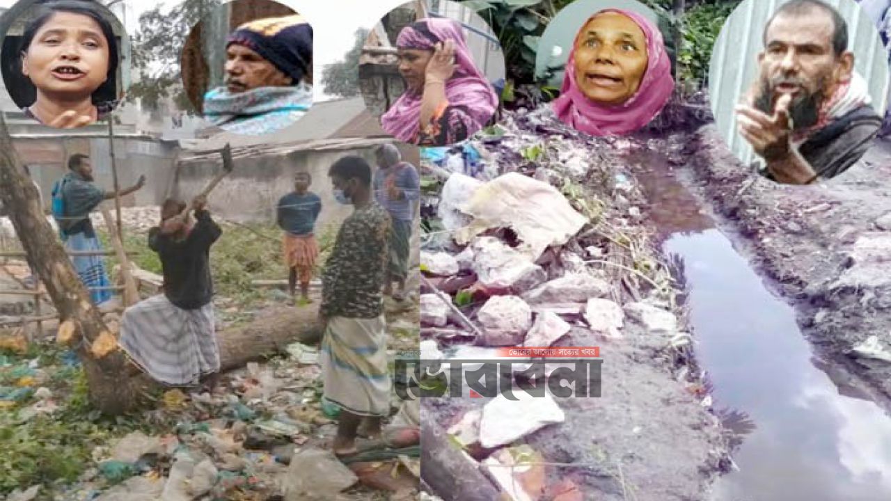 সোনারগাঁয়ে আদালতের নির্দেশ অমান্য করে জমি দখলের অভিযোগ সফি বাহীনির বিরুদ্ধে