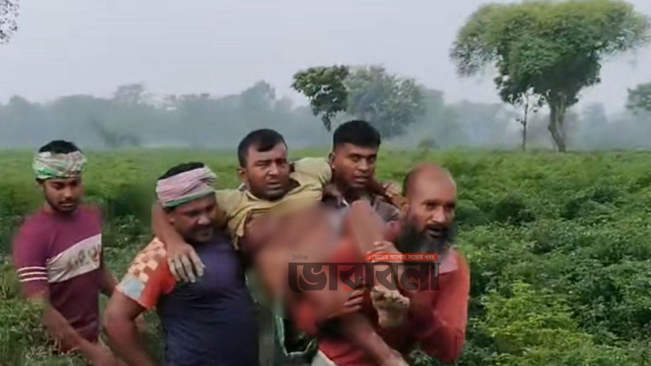 কুষ্টিয়া সীমান্তে বিএসএফের গুলিতে বাংলাদেশি কৃষক আহত, বিজিবির পাল্টা ফায়ার